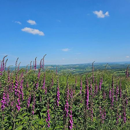 Summit Camping Kit Hill Cornwall Panoramic Views Grass Pitch From 15Pn Or Bella Bell Tent 75Pn Callington Exterior photo